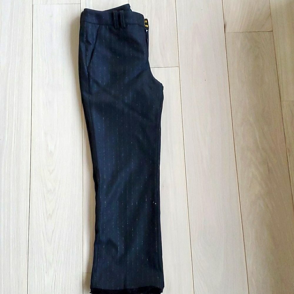 Gorgeous zadig and Voltaire pinstripe pants